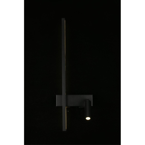 Светильник настенный (Бра) APL.342.01.13 фото 11