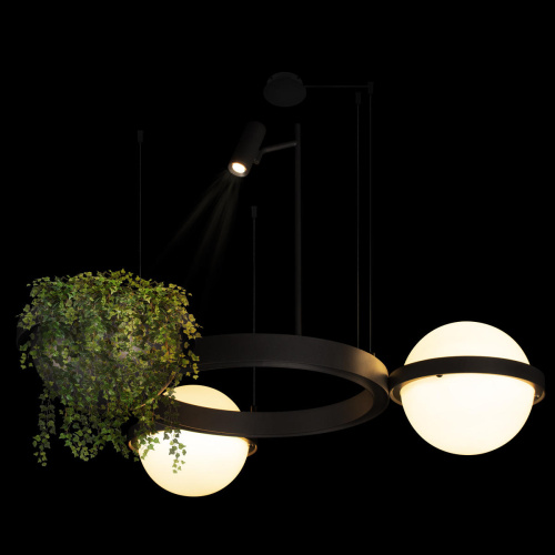 10121/2 Подвесной светильник LOFT IT Jardin фото 5