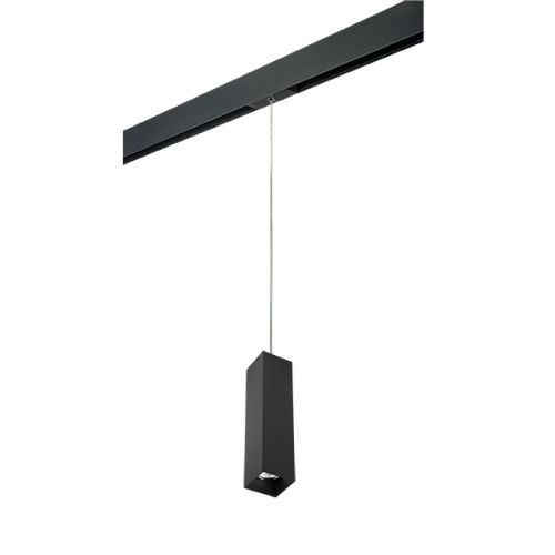 PRORP6397 Светильник д/1-фазн трека RULLO HP16 (216397+595957) PRORP6397 Светильник д/1-фазн трека RULLO HP16 (216397+595957)