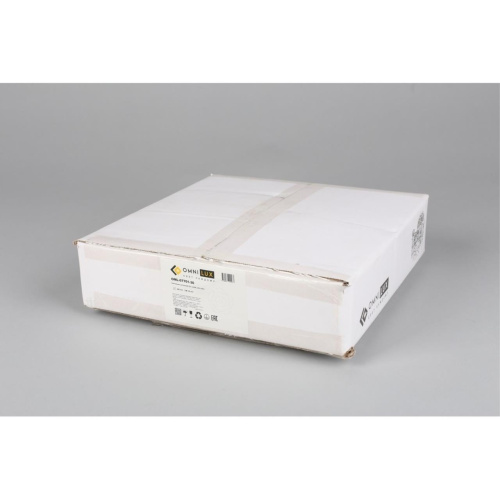 Светильник настенный (Бра) OML-07701-30 фото 6