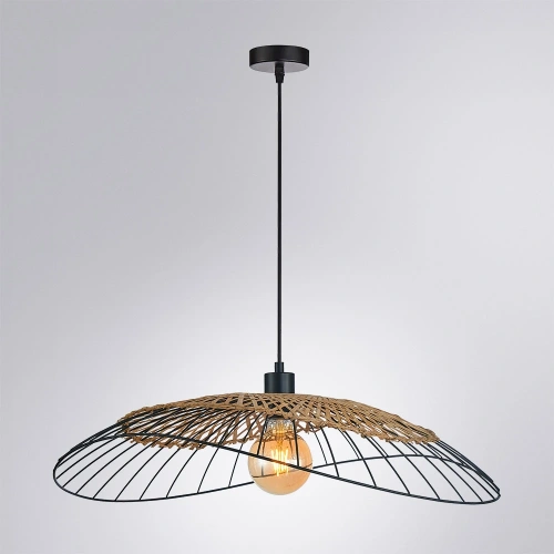 Подвесной светильник Arte Lamp WOODSTOCK A7061SP-1BK фото 2