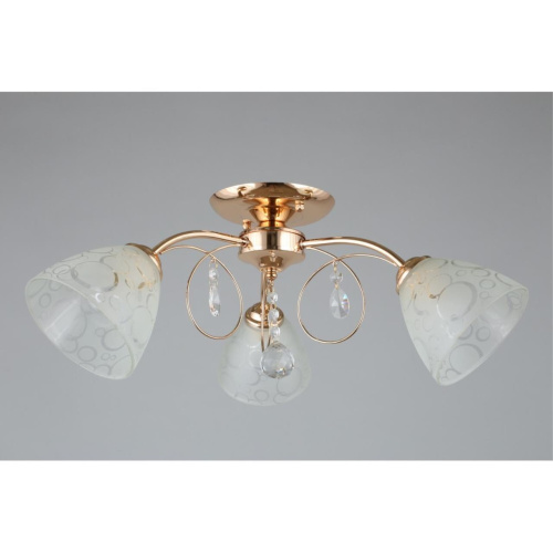 Люстра потолочная OML-29007-03 фото 4