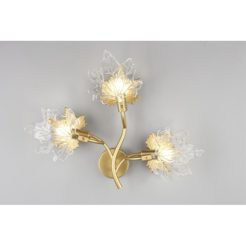 Светильник настенный (Бра) OML-52701-03 фото 7 Светильник настенный (Бра) OML-52701-03 фото 7