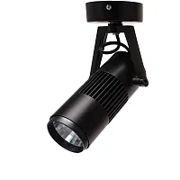 Спот Arte Lamp LINEA A6520AP-1BK