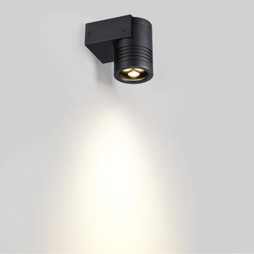 6648/6WL3 NATURE ODL25 687 черный/металл Фасадный светильник IP67 LED CREE 6W 3000K 30° AC85-265V STIMA фото 4 6648/6WL3 NATURE ODL25 687 черный/металл Фасадный светильник IP67 LED CREE 6W 3000K 30° AC85-265V STIMA фото 4