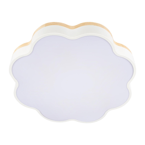 10225/36 White Потолочный светильник LOFT IT Axel фото 7