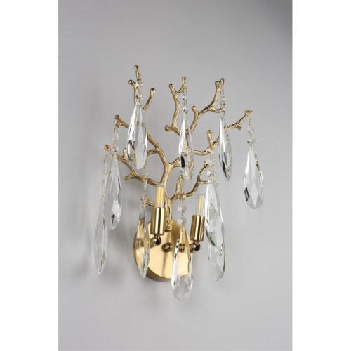 Светильник настенный (Бра) OML-52901-02 фото 8 Светильник настенный (Бра) OML-52901-02 фото 8