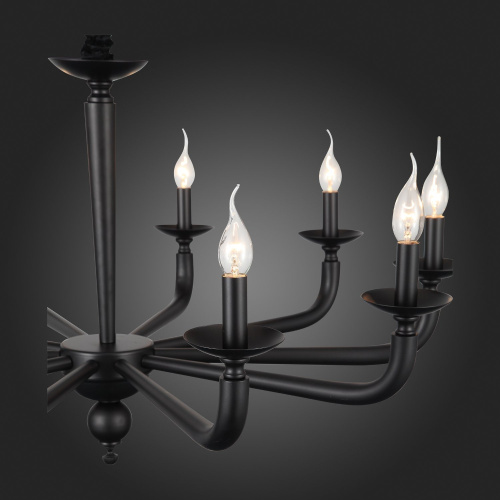 SL1114.403.10 Люстра подвесная ST-Luce Черный E14 10*40W FORTEZA фото 11