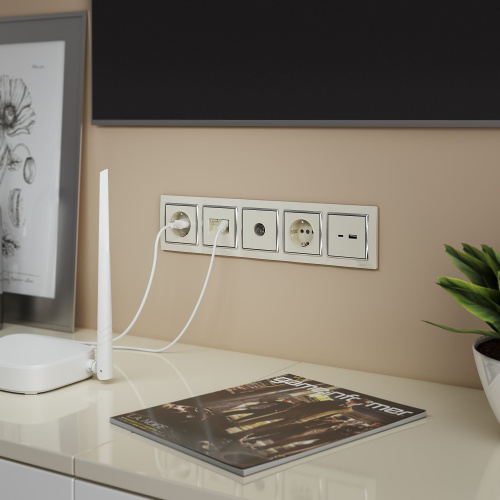 ТВ розетка проходная (слоновая кость) W1184003 фото 5