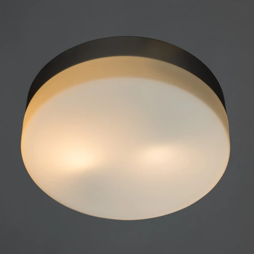 Потолочный светильник Arte Lamp AQUA-TABLET A3211PL-2SI фото 2 Потолочный светильник Arte Lamp AQUA-TABLET A3211PL-2SI фото 2