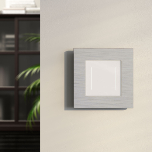 Рамка из металла на 1 пост АluMax алюминий W0013506 фото 4 Рамка из металла на 1 пост АluMax алюминий W0013506 фото 4