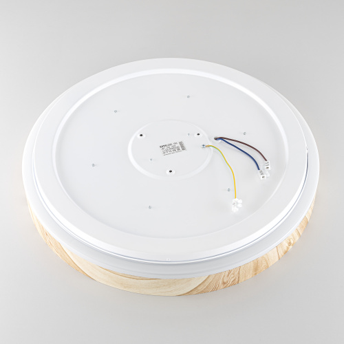 Citilux ENZO CL753452G LED RGB Светильник с пультом Клён фото 10 Citilux ENZO CL753452G LED RGB Светильник с пультом Клён фото 10