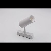 Светильник трековый APL.0116.10.10