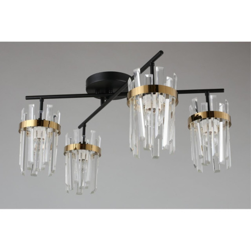 Люстра потолочная OML-67707-04 фото 4 Люстра потолочная OML-67707-04 фото 4