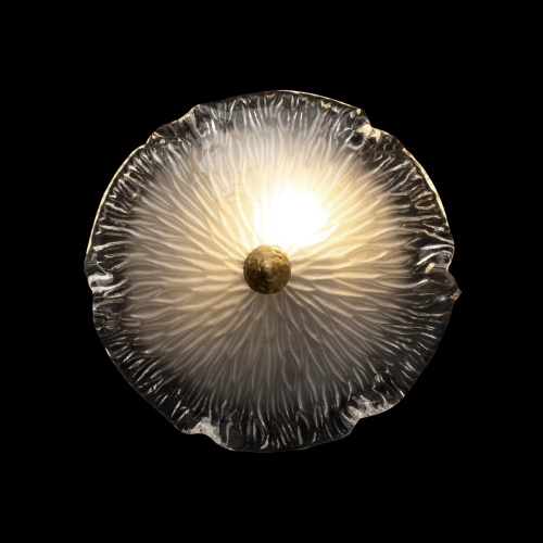 10352W/B AB Бра LOFT IT Bloom фото 5