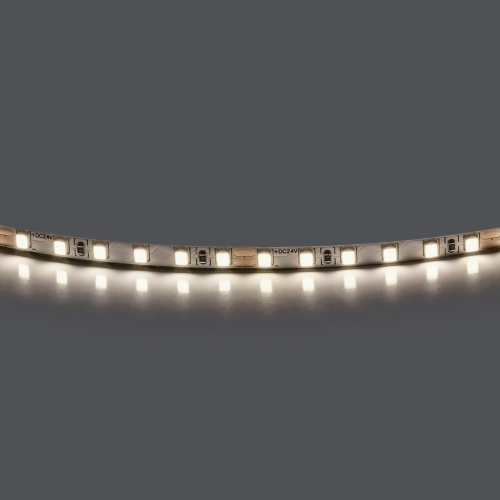 420544-02 Лента LIGHTSTAR LED 24V 5W 5m/roll 120led/m 1000lm/m 4000K без клейкой ленты М3 фото 2 420544-02 Лента LIGHTSTAR LED 24V 5W 5m/roll 120led/m 1000lm/m 4000K без клейкой ленты М3 фото 2
