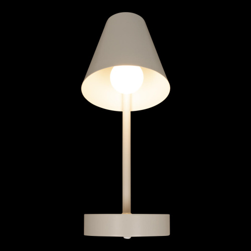 10216/1W White Настенный светильник LOFT IT Shelf фото 2