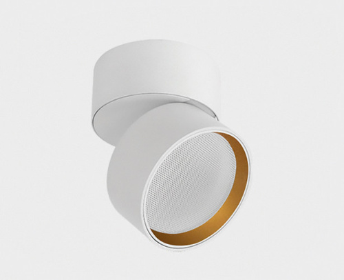 IT02-012 ring gold кольцо для светильника фото 4