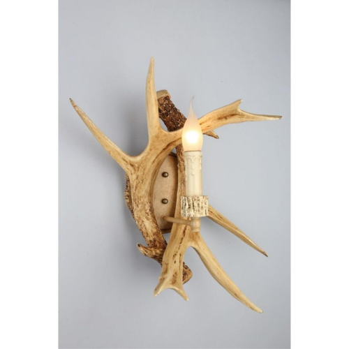 Светильник настенный (Бра) OML-52001-01 фото 2 Светильник настенный (Бра) OML-52001-01 фото 2