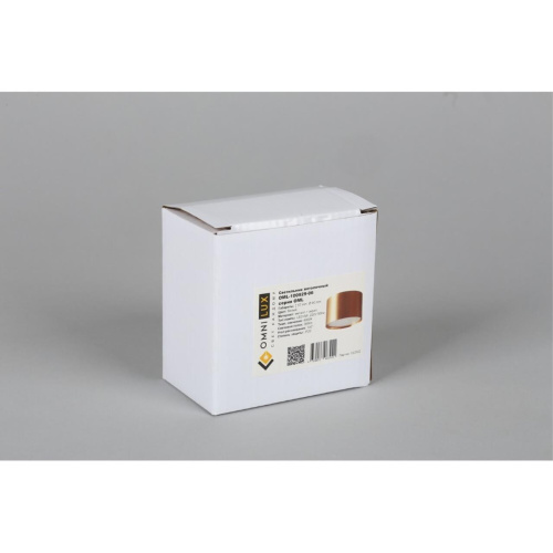 Светильник встраиваемый-накладной OML-100929-06 фото 6