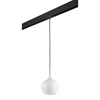 Комплект с трековым светильником Lightstar Pentola (803040+595007) PRO803040