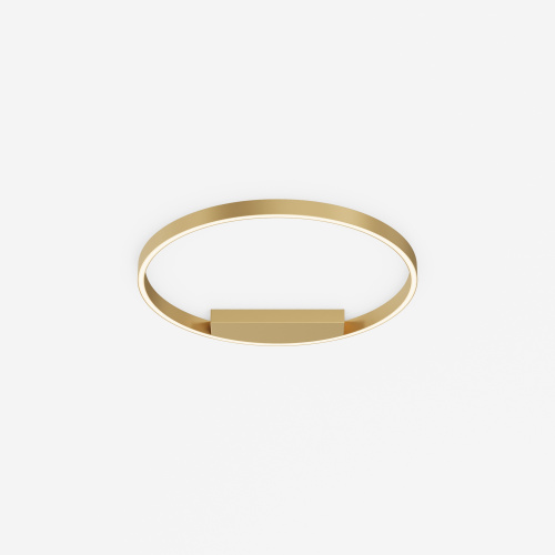 Потолочный светильник Maytoni MOD058CL-L35BSK фото 5