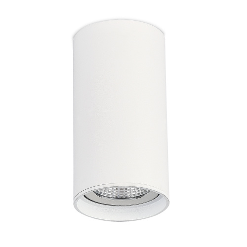 ST157.542.15 Светильник потолочный Белый LED 1*15W 4000K 1 200Lm Ra>90 60° IP44 D75xH140 220-265V Накладные светильники фото 2