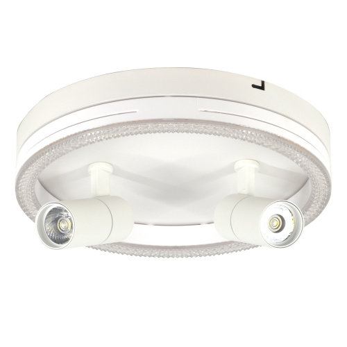 Настенно-потолочный свет Escada 20044SMA/03 LED 43W 4000K белый