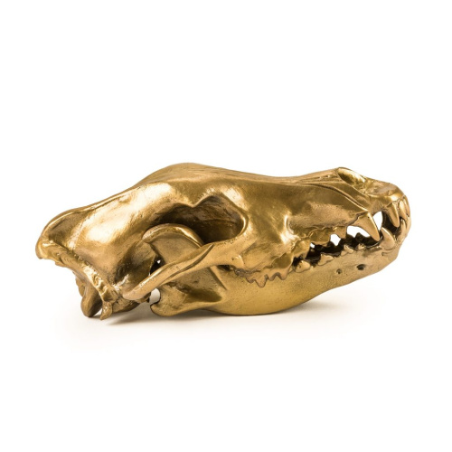 Статуэтка Wunderkrammer Wolf Skull фото 5 Статуэтка Wunderkrammer Wolf Skull фото 5