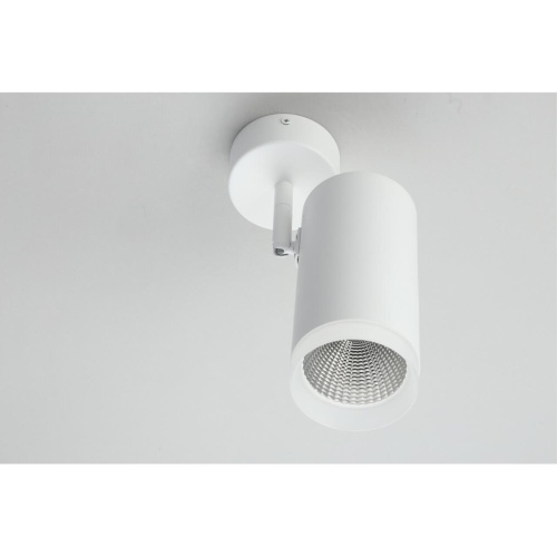 Светильник настенно-потолочный OML-102609-20 фото 5 Светильник настенно-потолочный OML-102609-20 фото 5