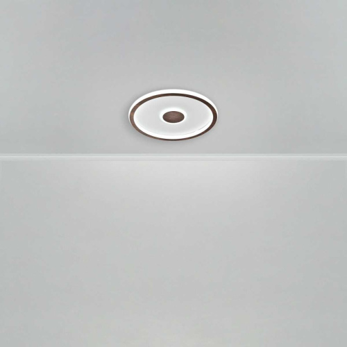 Потолочный светильник Freya Орбита / Orbit FR5421CL-L80BR фото 6 Потолочный светильник Freya Орбита / Orbit FR5421CL-L80BR фото 6