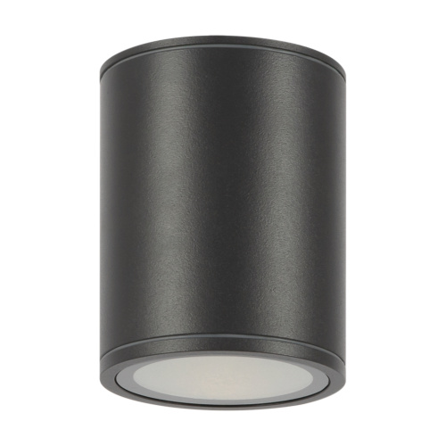 Уличный потолочный светильник Outdoor O306CL-L12GF фото 6