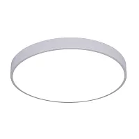 Потолочный светильник Arte Lamp ARENA A2686PL-35WH