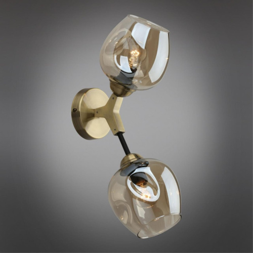 Светильник настенный (Бра) OML-93401-02 фото 2