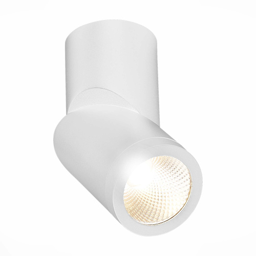 ST650.532.10 Светильник потолочный Белый LED 1*10W 3000K 800Lm Ra>90 38° IP44 D62xH151 165-265V Накладные светильники фото 5