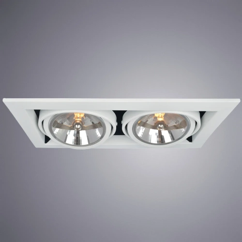 Карданный светильник Arte Lamp CARDANI GRANDE A5935PL-2WH