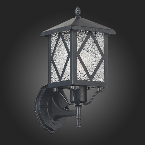 SL084.401.01 Светильник уличный настенный ST-Luce Черный/Черный, Прозрачный E27 1*60W LORNE фото 6