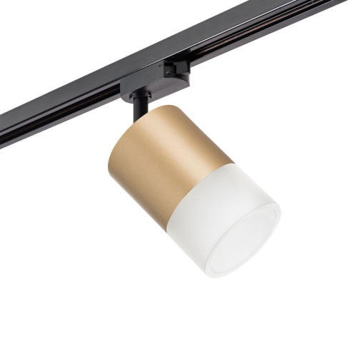 Комплект с трековым светильником Lightstar Rullo (213490+592087+202481) R1T349081