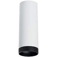 R4863437 Светильник RULLO HP16 (214486+203437)