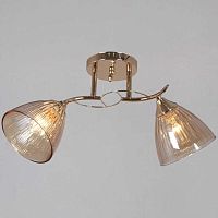 Потолочная люстра Reluce 02560-0.3-02 FG