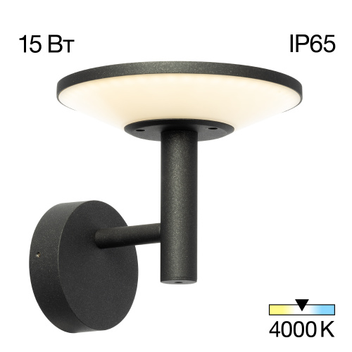 Citilux Dorn CLU05W LED Уличный настенный светильник Графит Citilux Dorn CLU05W LED Уличный настенный светильник Графит