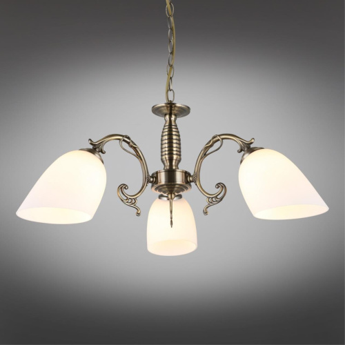 Люстра подвесная OML-56407-03 фото 3