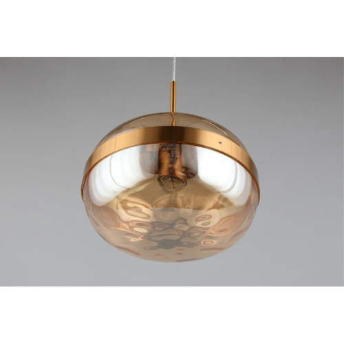 Светильник подвесной APL.305.16.01 фото 6