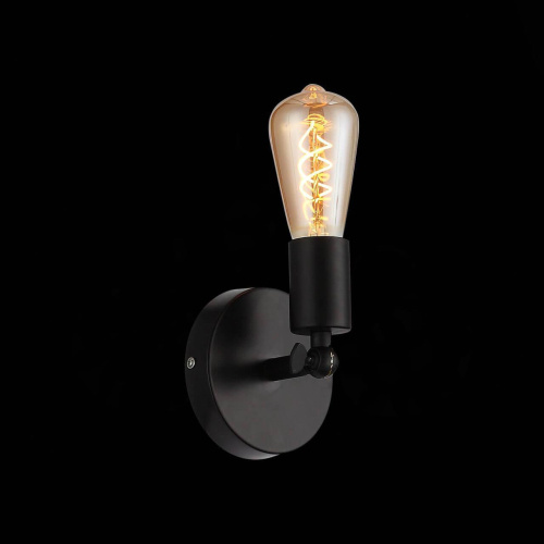 Спот Evoluce Ano SL419.401.01 фото 2