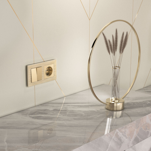 Рамка из металла на 2 поста Аluminium шампань алюминий W0021711 фото 3