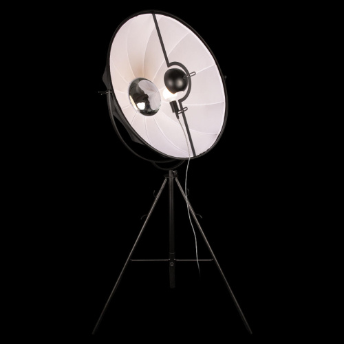 10301/L Торшер LOFT IT Studio фото 3 10301/L Торшер LOFT IT Studio фото 3