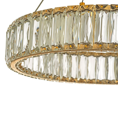 Подвесной светодиодный светильник Dio DArte Elite Caneva L 1.5.100.100 G фото 2