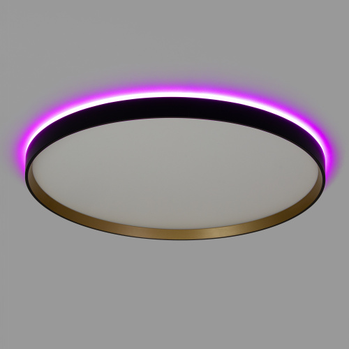 Citilux ETALON CL750501R LED RGB Светильник с пультом Чёрный+Золото фото 5 Citilux ETALON CL750501R LED RGB Светильник с пультом Чёрный+Золото фото 5