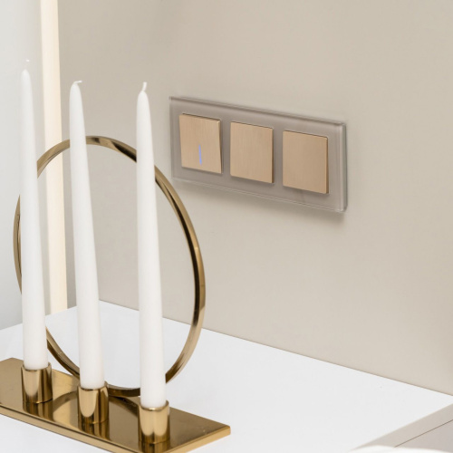 Выключатель одноклавишный проходной с подсветкой (шампань рифленый) W1112110 фото 6 Выключатель одноклавишный проходной с подсветкой (шампань рифленый) W1112110 фото 6