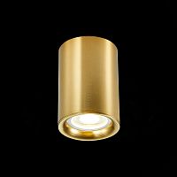 ST114.207.01 Светильник потолочный Золотистый GU10 1*50W  IP20 L65xW65xH93 220V Без ламп Накладные светильники